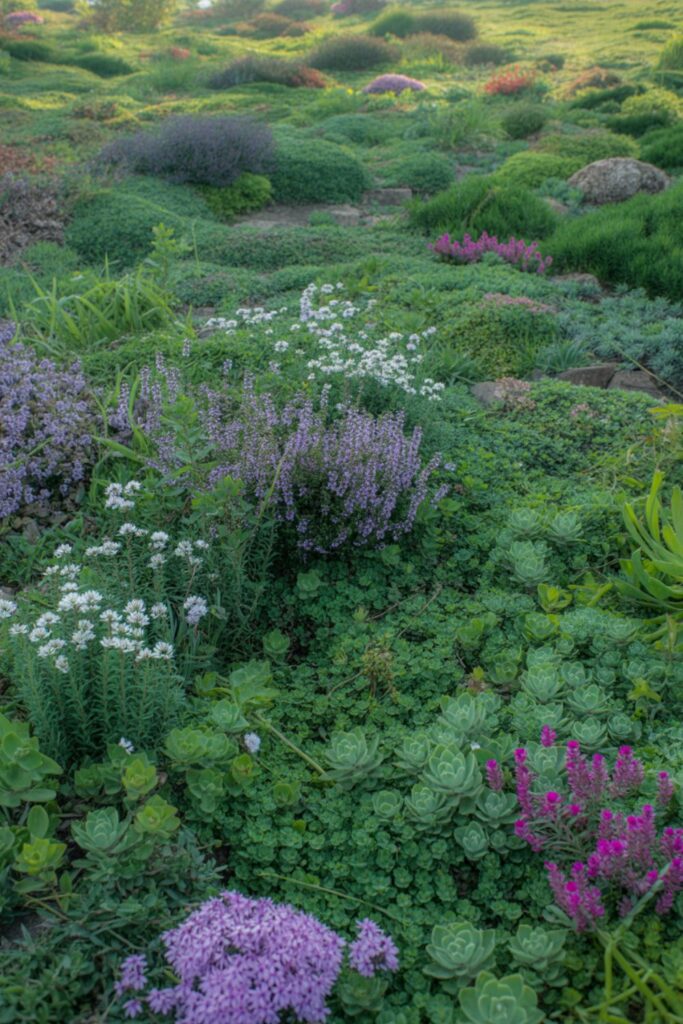 29+ Beautiful Summer Landscaping Ideas for a Stunning Yard 4 Ground Covers That Replace High-Maintenance Lawns