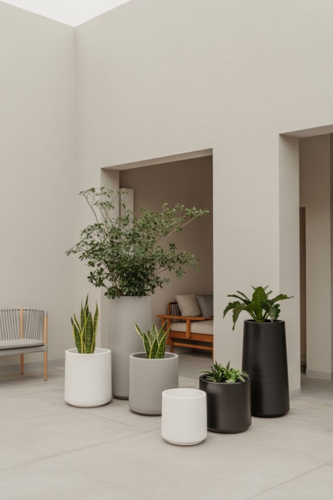 Modern Minimalist Planter Designs