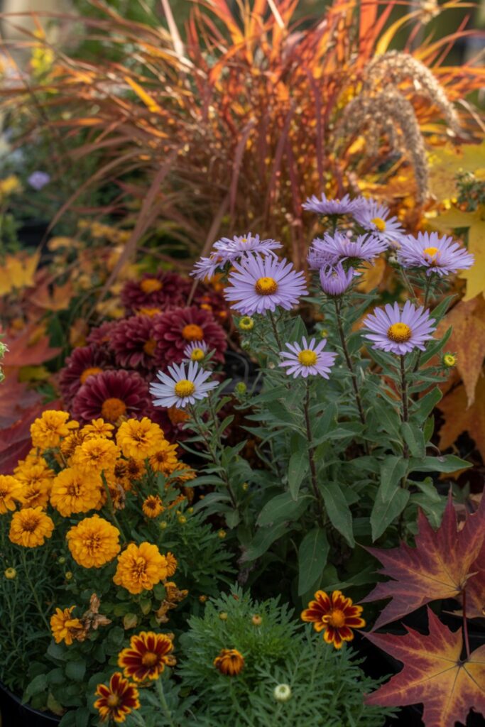 Flower Borders Guide To Design, Plants And Maintenance 5 How Do You Transition Flower Borders Between Seasons?