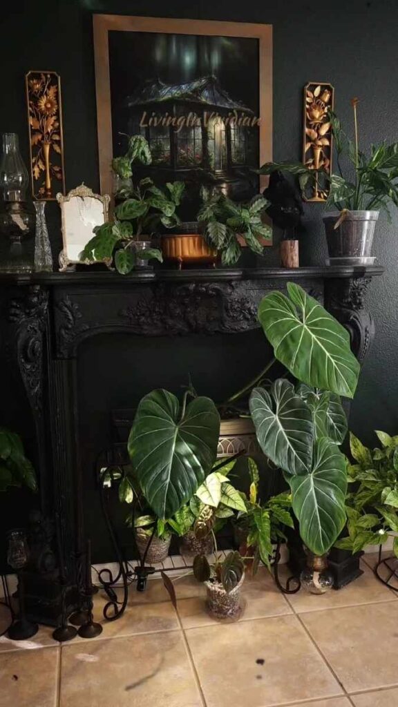 Gothic Plants Dark Aesthetic Indoor Styling Guide 2026 2 Latest Trends in Gothic Plants